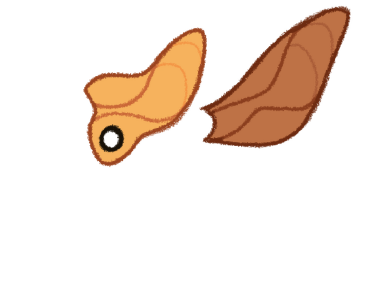 Ears are significantly smaller but share the same general shape.